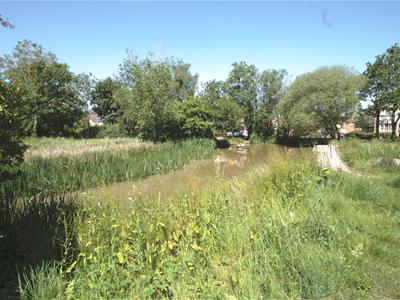 Picture 14